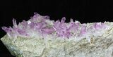 Amethyst Crystal Cluster - Veracruz, Mexico (Special Price) #42213-8